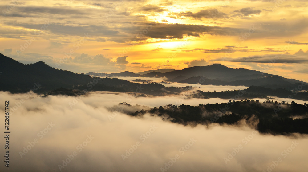 Fototapeta premium Sunrise over dipterocarp rain forest in Danum Valley Conservation Area in Lahad Datu, Sabah Borneo, Malaysia.