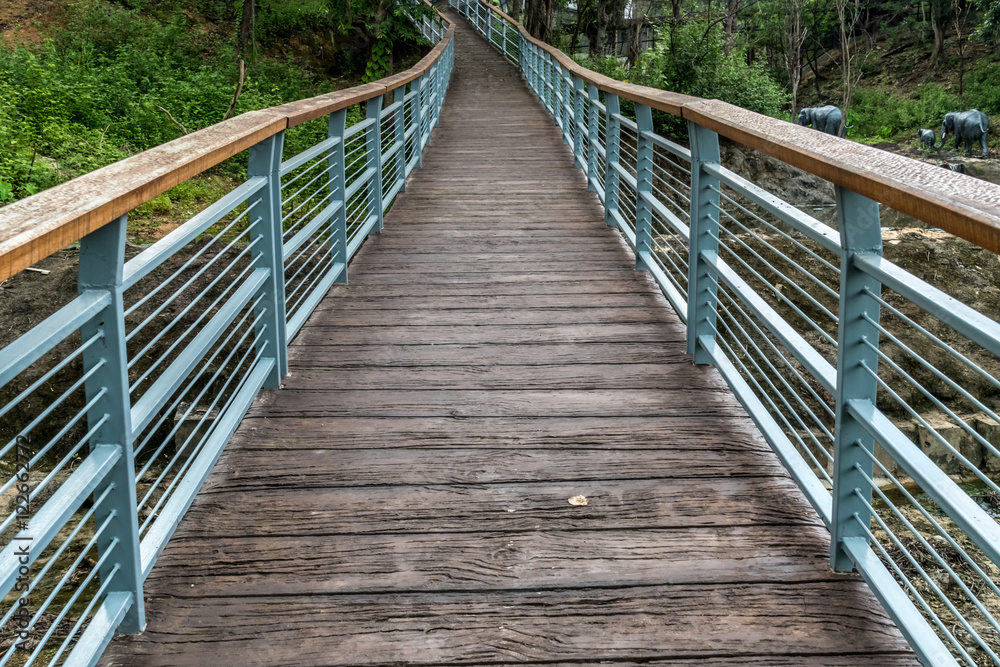 Fototapeta premium Footbridge in the park