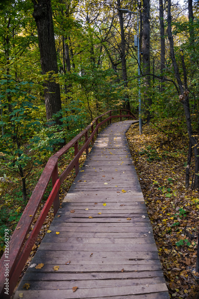 Obraz premium Wooden pathway in Vorobyovy Gory park in the autumn
