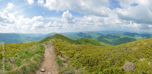 Fototapeta Naklejka Na Ścianę i Meble -  
Bieszczady -Stitched Panorama
