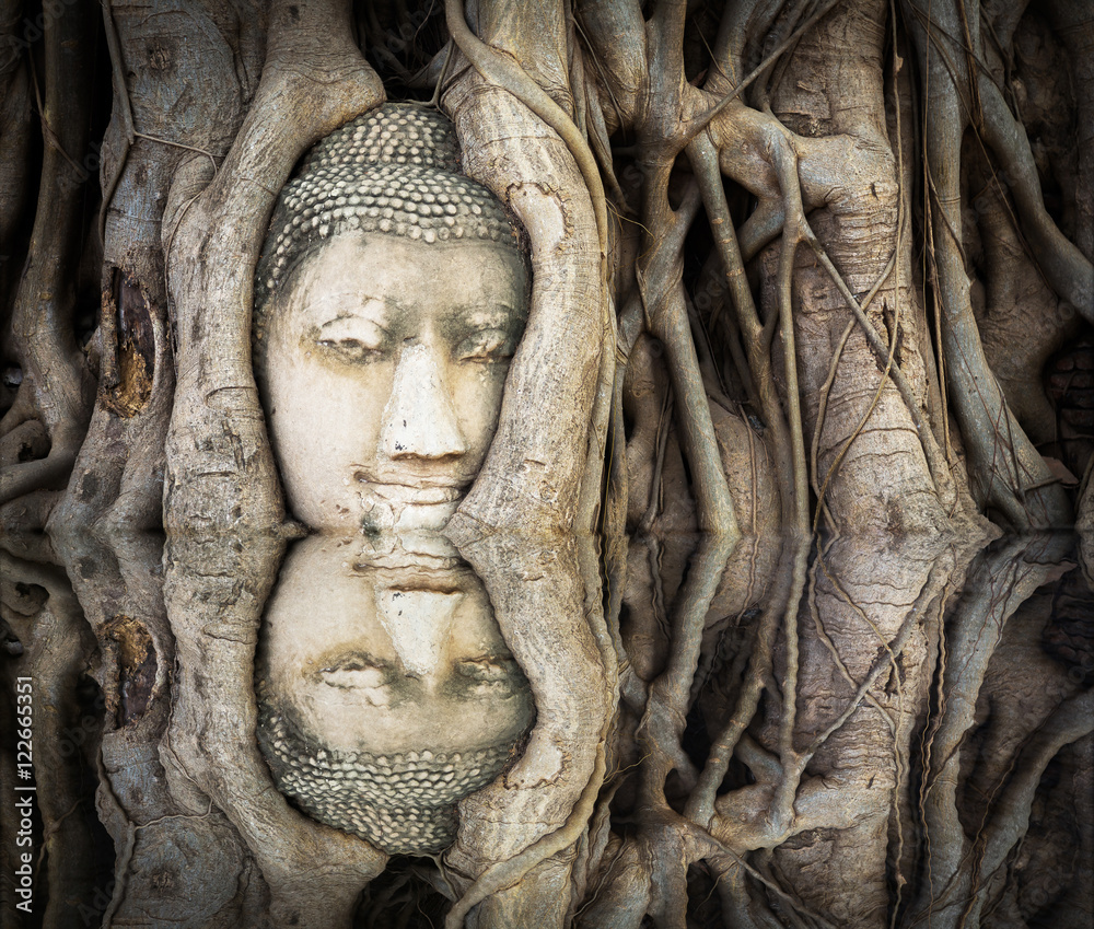 Reflections of Ancient buddha head in a tree
