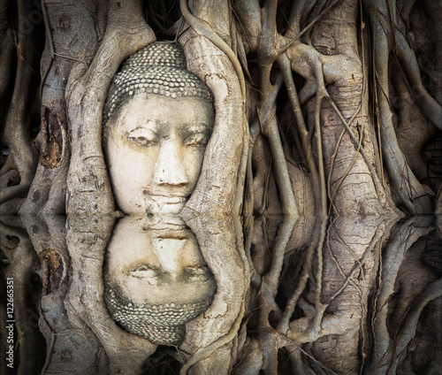 Reflections of Ancient buddha head in a tree
