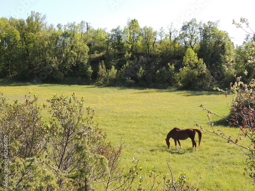 cheval