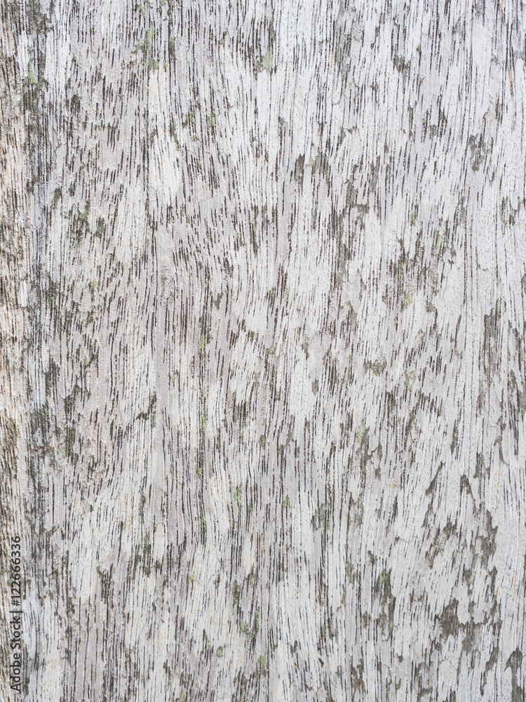 Wood background texture Wood background texture