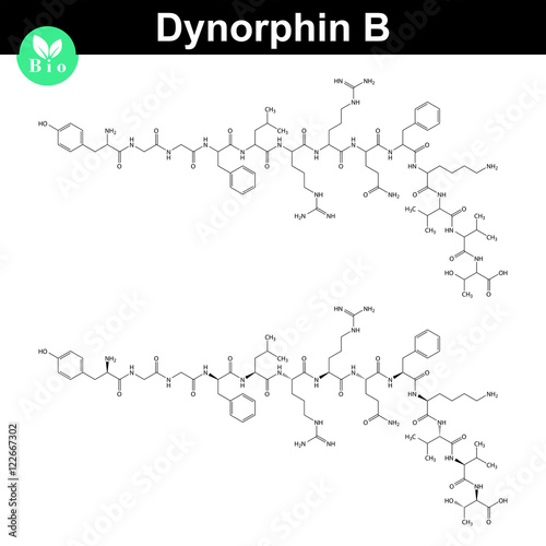 Dynorphin B chemical structure