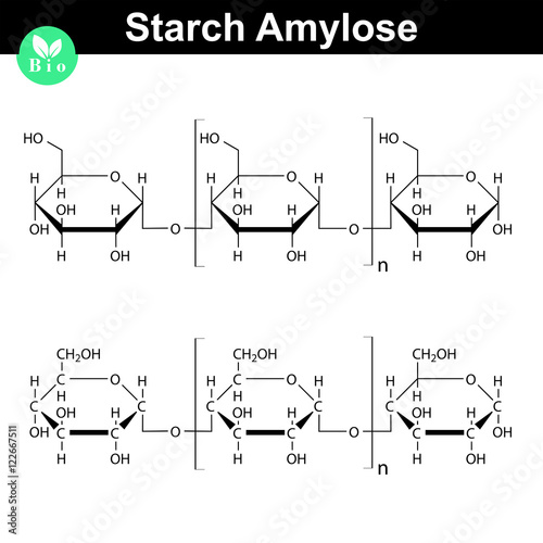 Amylose polymer chemical chain