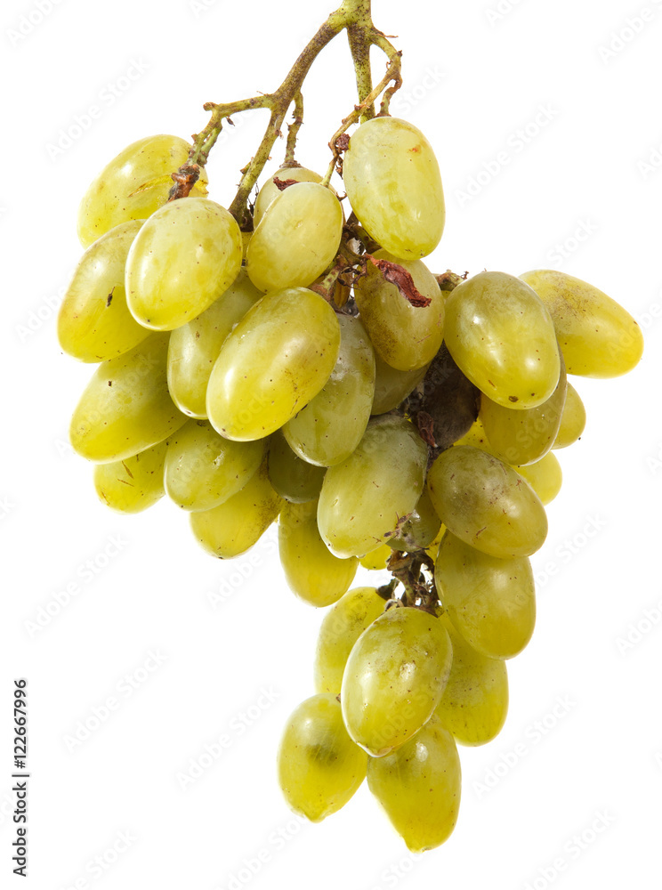 bunch of ripe grapes isolated on white background