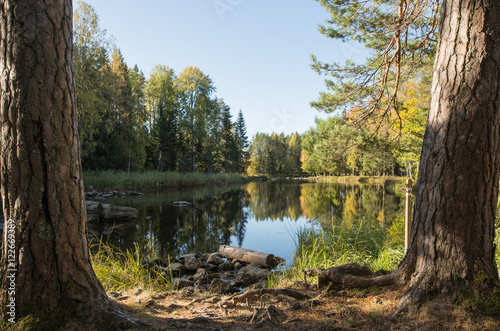 Fototapeta Naklejka Na Ścianę i Meble -  Scenic view of a river landscape in autumn