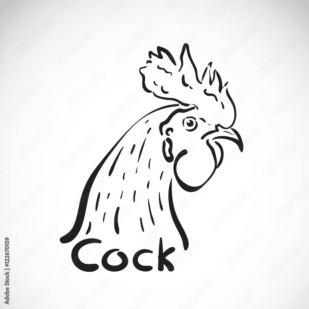 Obraz premium Vector of hand sketch a cock head on a white background. Animal