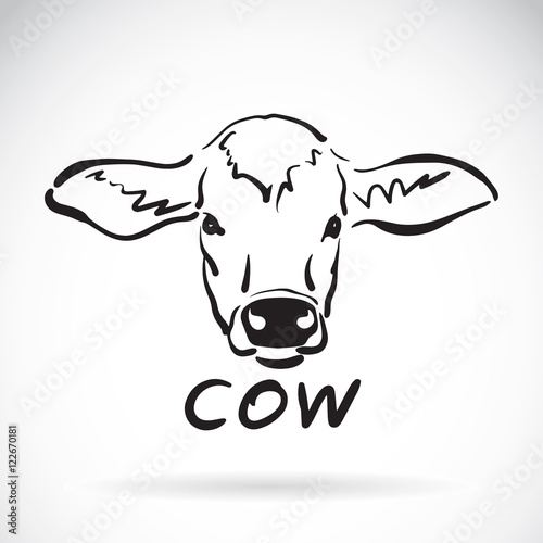 Vector of hand sketch a cow head on a white background. Animal d