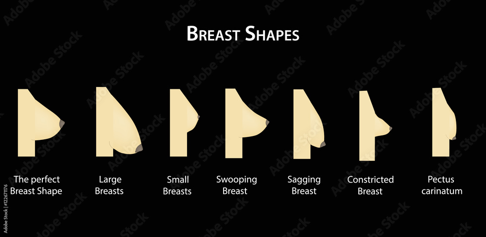 Shape the breast. Vector illustration on a black background Stock