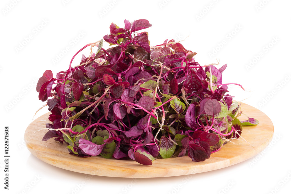 red spinach isolated on white background.