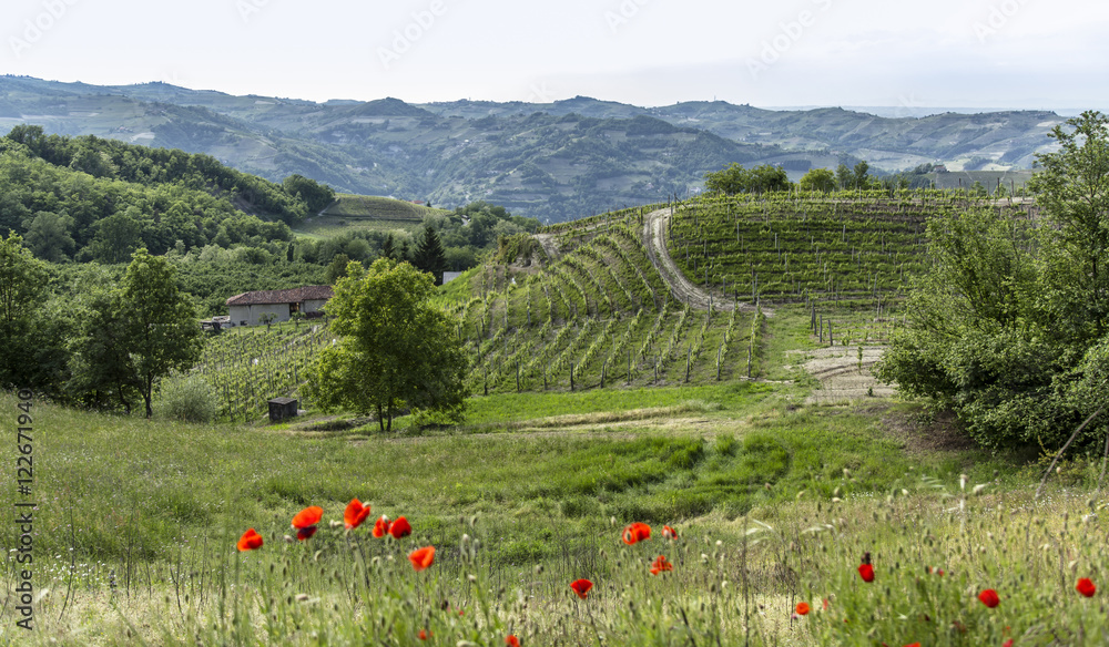 Monferrato StockFoto Adobe Stock