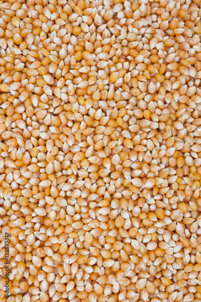 Popcorn Kernels Background Popcorn Kernels Background