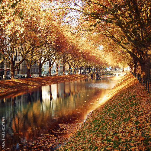 Golden Trees Reflecting in the canal. Autumn photo. View of the historic avenue Koenigsallee (King's Avenue), Dusseldorf, Germany
