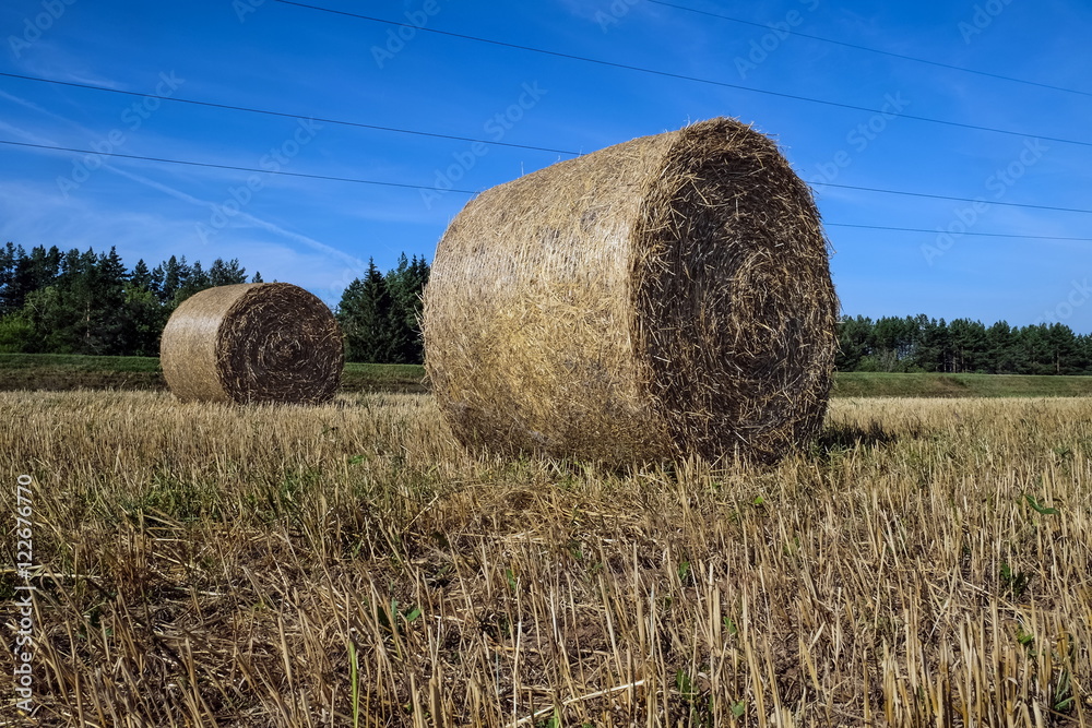 hay rolls on the slanted field
