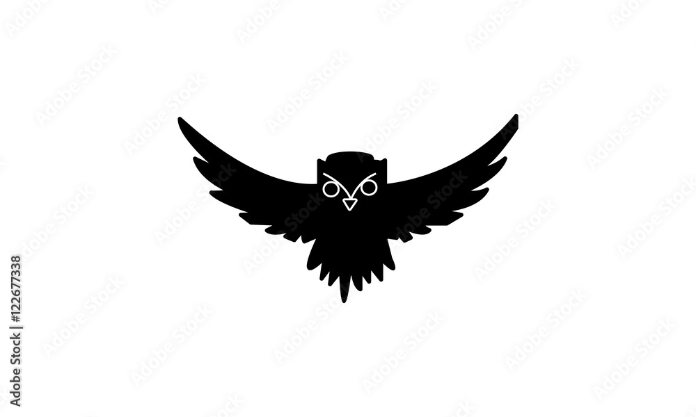 Obraz premium mysterious owls birds