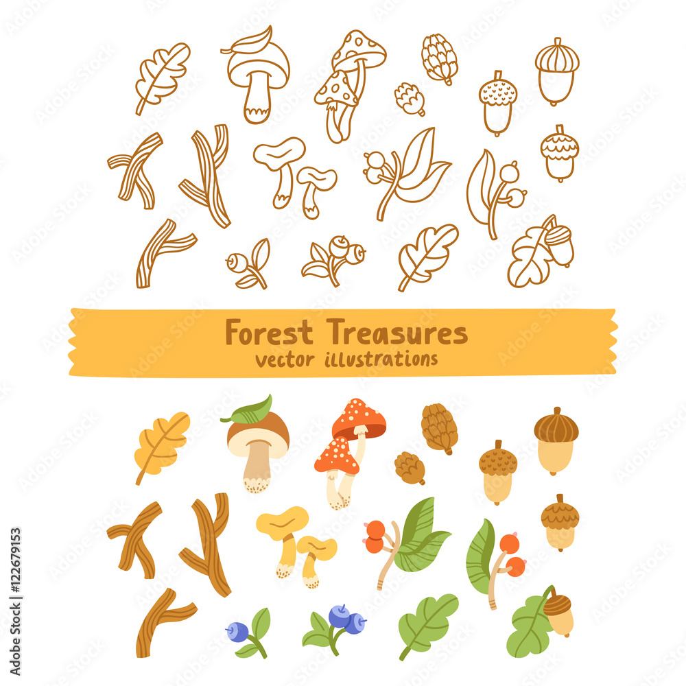 Forest treasures illustration