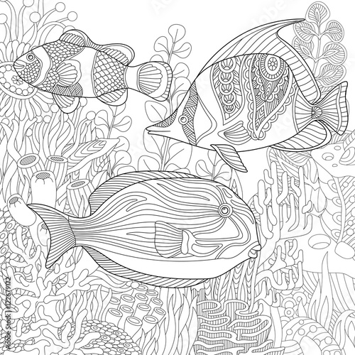 Stylized composition of tropical fish, underwater seaweed and corals. Freehand sketch for adult anti stress coloring book page with doodle and zentangle elements.