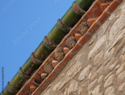 House Martin nests under the guttering of a house in Spain