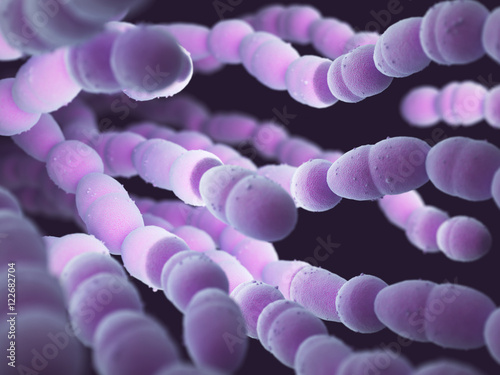 Streptococcus pneumoniae, or pneumococcus, is a gram-positive bacteria responsible for many types of pneumococcal infections. photo
