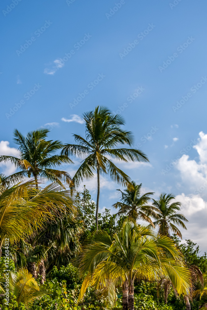 Fototapeta premium St Barth Beaches