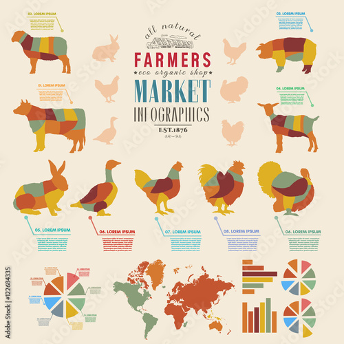 Farm infographics farm animals chickens, cows, sheep, goats