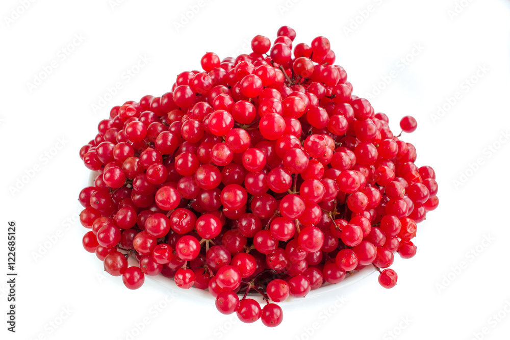 Red berries of guelder rose in white plate Red berries of guelder rose in white plate