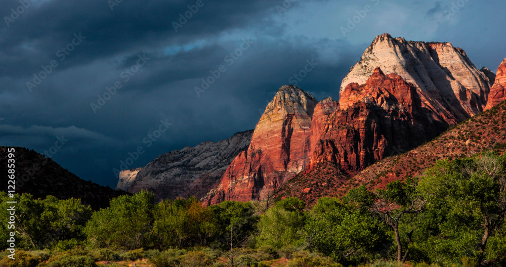 Zion National Park Spring