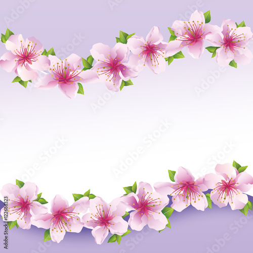 Stylish floral background  greeting card with flower sakura