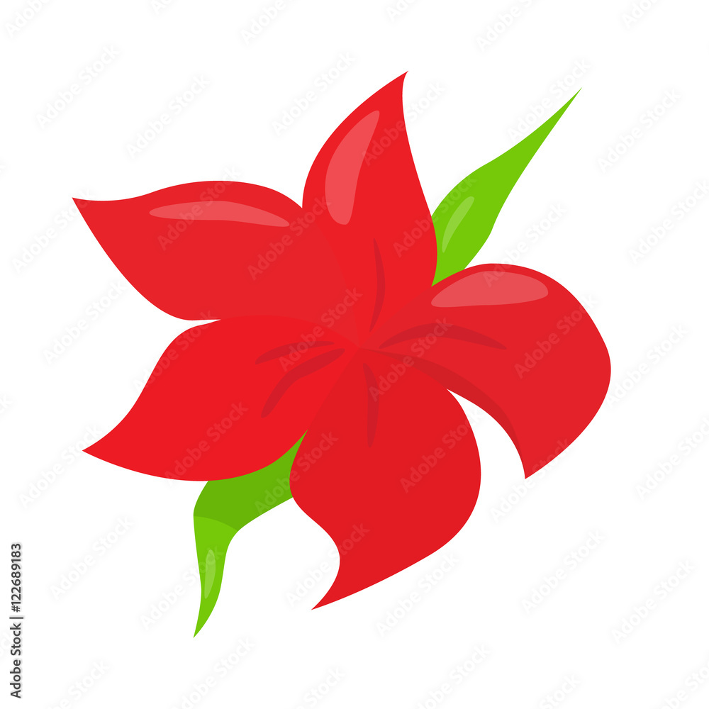 red blossom flower beautiful vector illustration