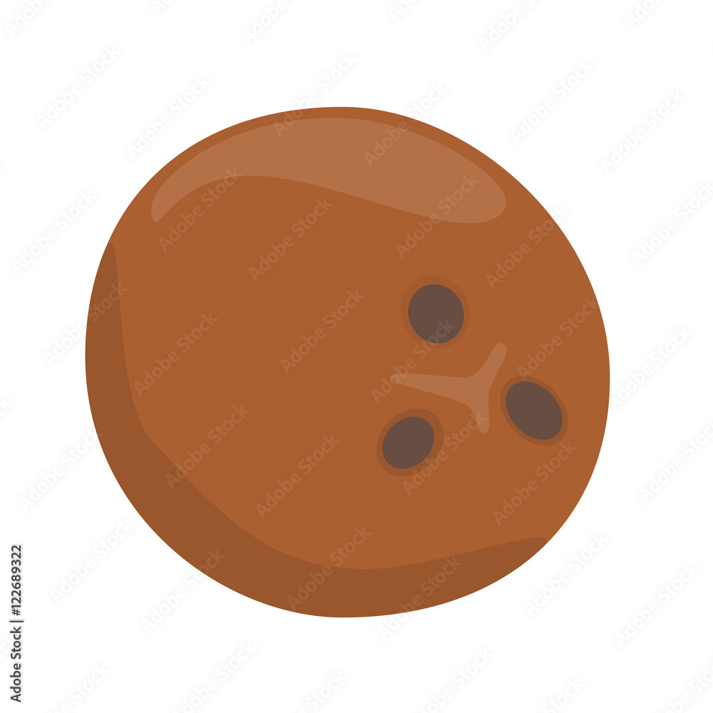 Fototapeta premium coconut nut brown isolated vector illustration