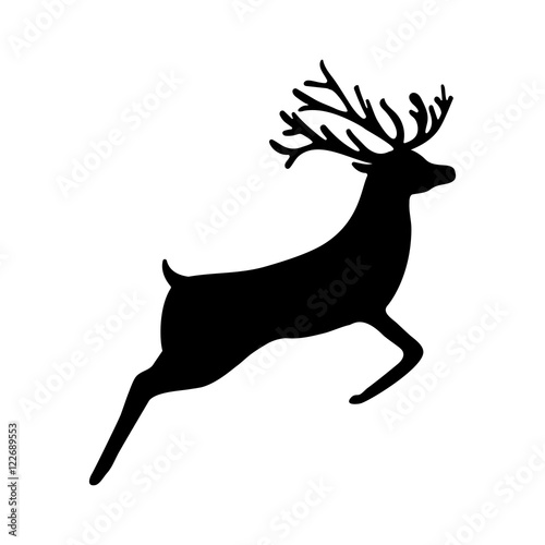 Reindeer isolated on white background,