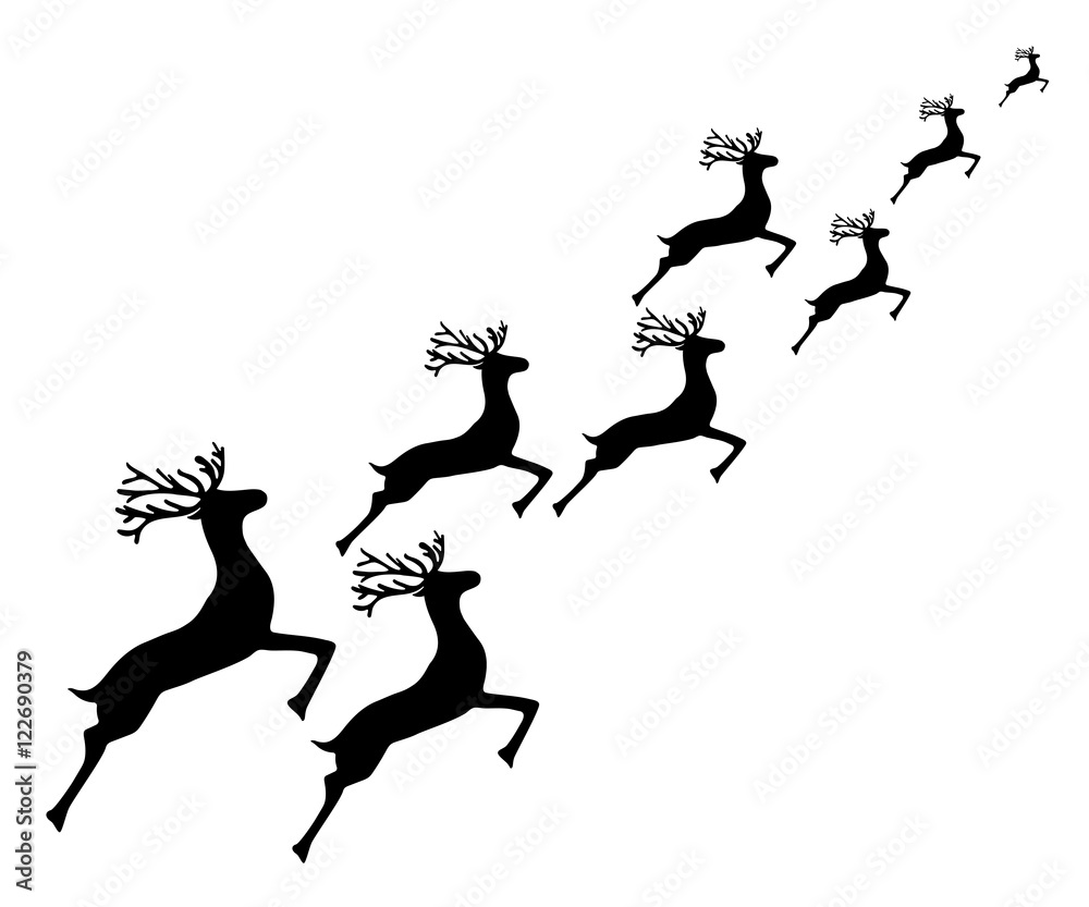 Reindeer running on a white background