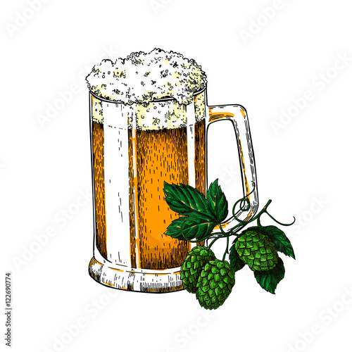 Beer glass mug with hop. Sketch vector illustration. Hand drawn