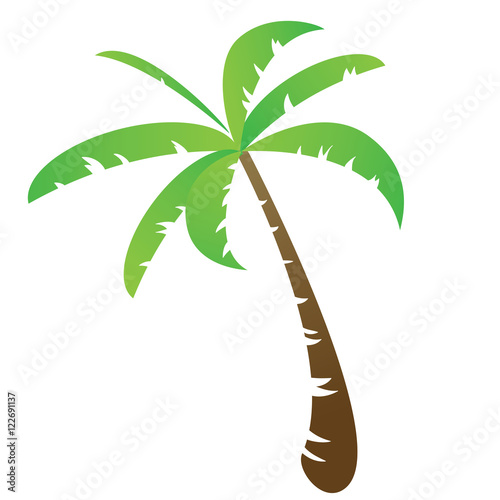 Funny palm tree