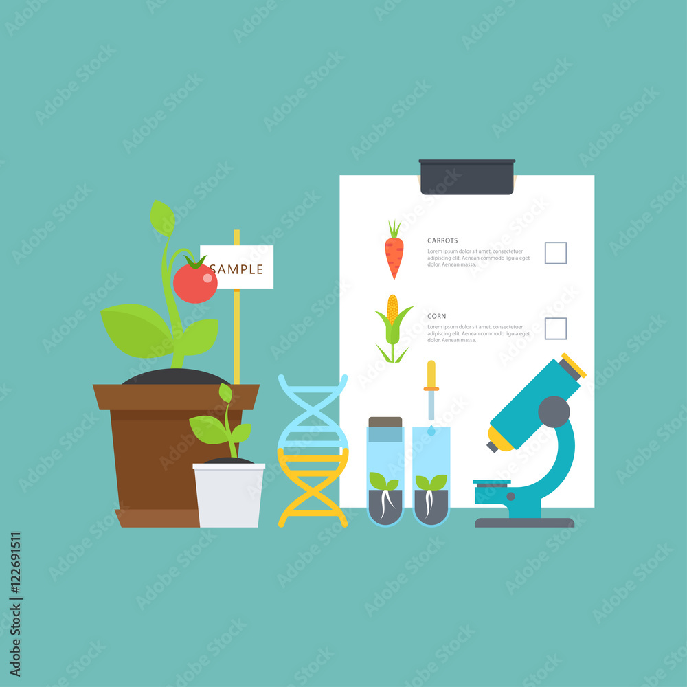 Simple botanical concept with vials, seedlings, plants, microscope, DNA molecule. Simple botanical concept with vials, seedlings, plants, microscope, DNA molecule.