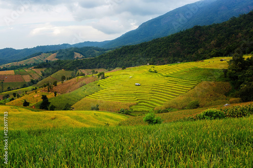 Rice terraces © thisisdraft