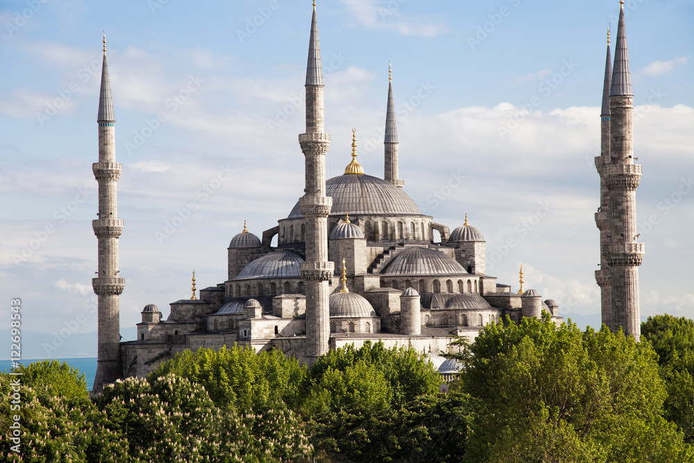 The Blue Mosque Istanbul, Turkey. Sultanahmet park. The biggest mosque in Istanbul of Sultan Ahmed (Ottoman Empire).