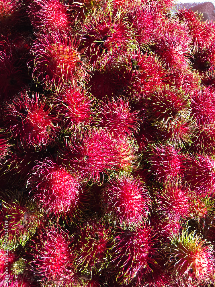 Rambutan. Rambutan.