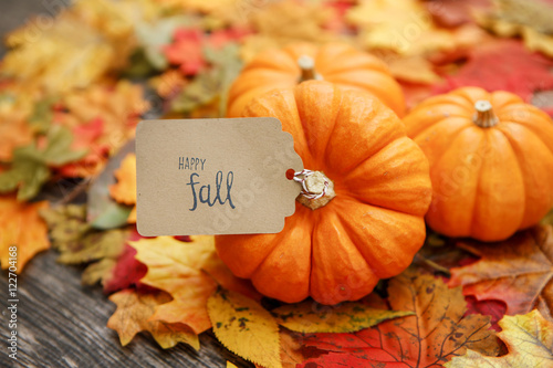 Fall Thanksgiving Background photo