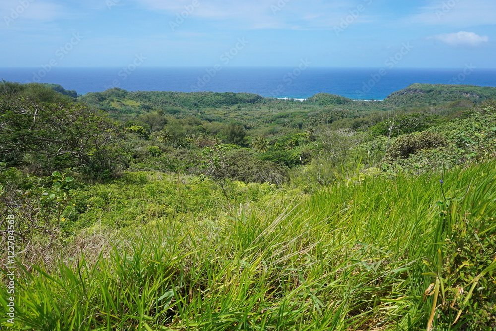 Green vegetation landscape from the heights of the island of Rurutu, south Pacific ocean, Austral archipelago, French Polynesia