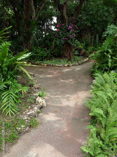 stone walkway 
