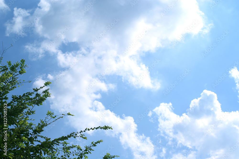 Fototapeta premium 空と雲と緑02