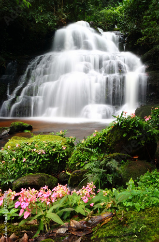 Mandang waterfall in Thailand,With pink flowers near the waterfall.