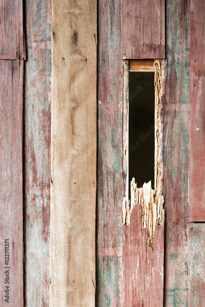 .Hole wood from termites. .Hole wood from termites.