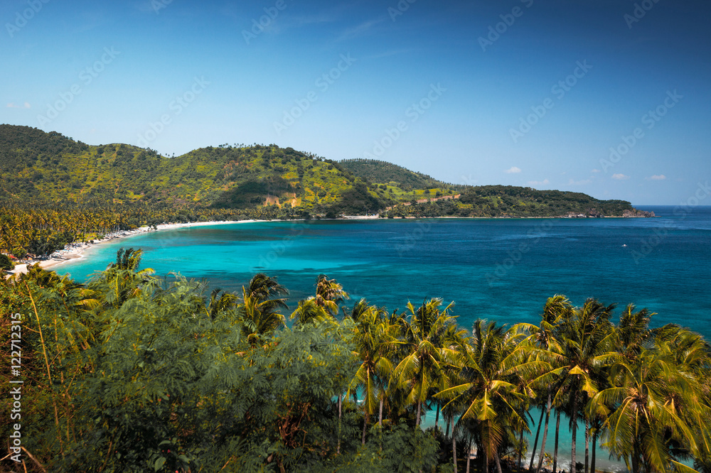 A view of the bay and coast with tropical trees from the hill