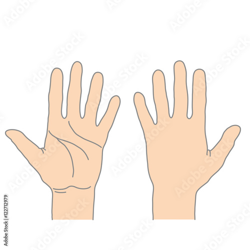 Human palm outside and inside