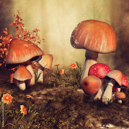 Fototapeta Kolorowe grzyby na jesiennej łące
