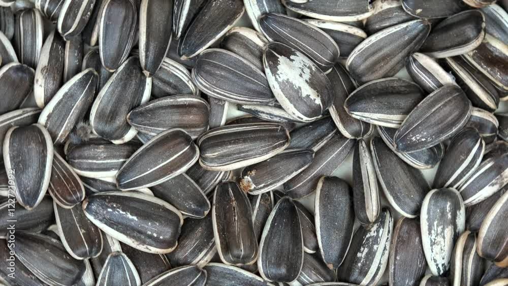 organic sunflower seeds. turntable organic sunflower seeds. turntable